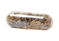 CAPSULA CON SEMI DI FIORI